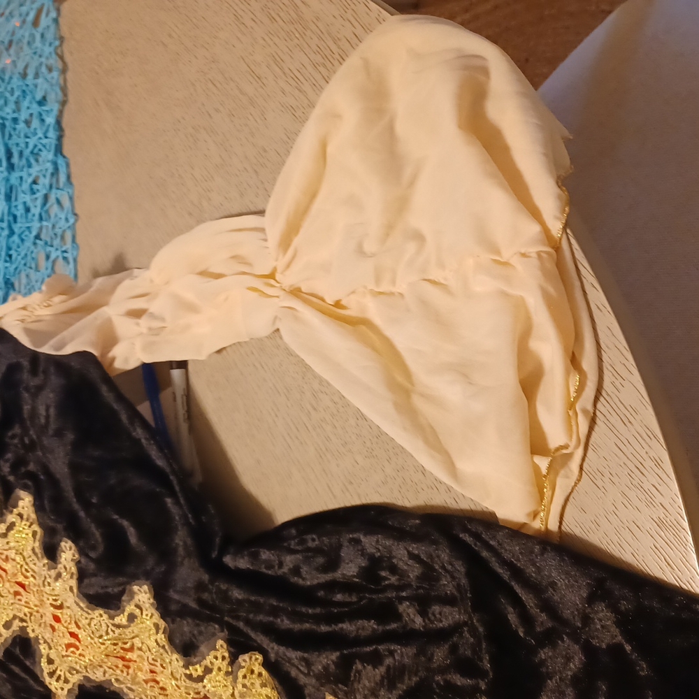 Halloween costume. Firm Price - Picture 6 of 9